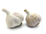 SEED SIZE - 1/2 lb Music